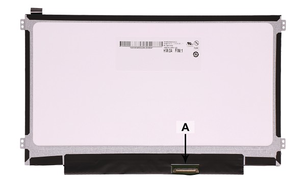 Chromebook C213NA 11.6" 1366x768 LED OnCell T/P (Matte)